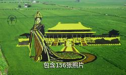 沈阳稻梦空间主题公园驴友相册
