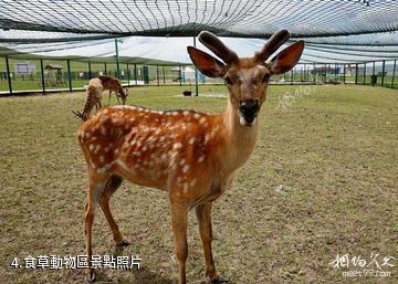 烏拉蓋野狼谷景區-食草動物區照片