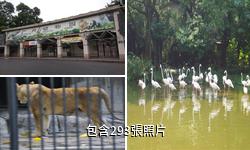 廣州動物園驢友相冊