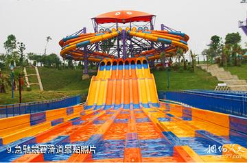 廣西南寧鳳嶺兒童公園-急馳競賽滑道照片