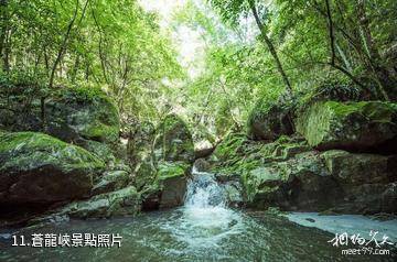 安康寧陝筒車灣休閑景區-蒼龍峽照片