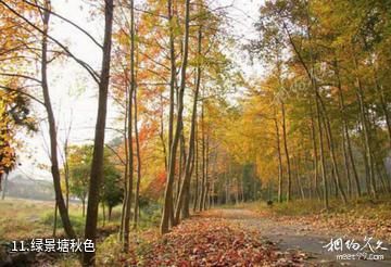 杭州绿景塘生态农业观光园-绿景塘秋色照片