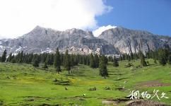 新疆伊犁河谷旅遊攻略之白石峰