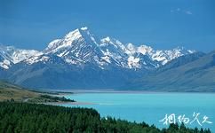紐西蘭庫克山國家公園旅遊攻略之普卡基湖和太卡湖