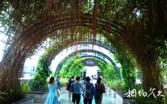 珠海罗西尼工业旅游园区旅游攻略之钟表花圃