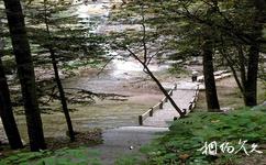 蛟河市南湖瀑布旅遊攻略之青山綠樹