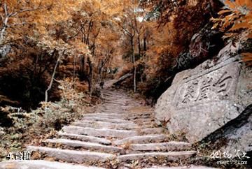 安庆白崖寨风景区-台阶照片