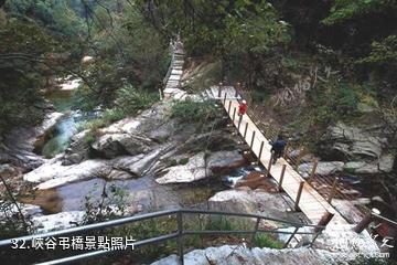 岳西妙道山風景區-峽谷弔橋照片