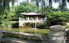 西安唐大慈恩寺遗址公园旅游攻略之公园环境