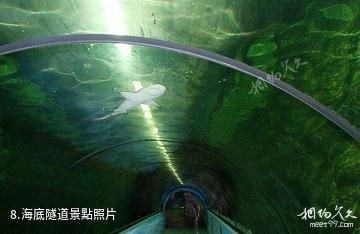 連雲港連島海底世界-海底隧道照片