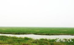 永修吳城古鎮旅遊攻略之濕地草原