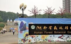 湖南省森林植物園旅遊攻略之湖南省森林植物園