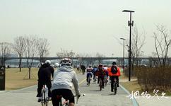 首尔汉江公园旅游攻略之自行车道