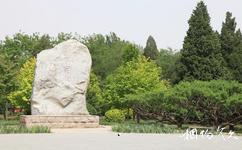 北京興隆公園旅遊攻略之將軍林