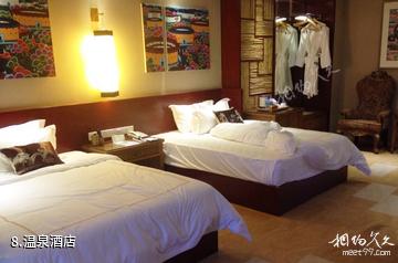 惠州龙门天然温泉旅游区-温泉酒店照片