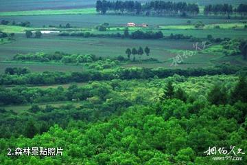 慶安望龍山國家森林公園-森林照片