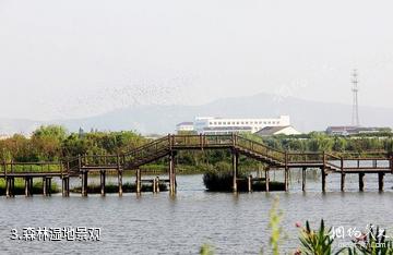 江阴双泾生态园-森林湿地景观照片