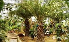 阜陽生態樂園旅遊攻略之熱帶植物園區