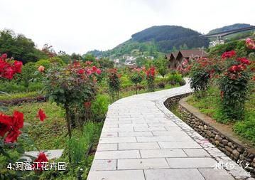 重庆黔江官村景区-阿蓬江花卉园照片