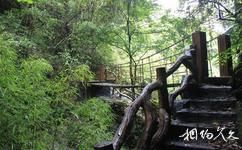 安康双龙生态旅游攻略之飞龙桥