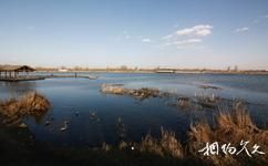 淮北南湖旅游攻略之湿地