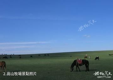錫林郭勒盟蘇尼特右旗社保局旅遊點-高山牧場照片