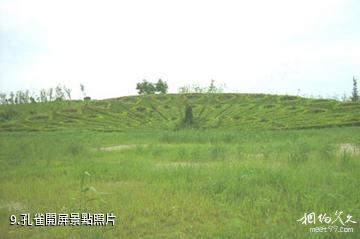 江蘇永豐林農業生態園-孔雀開屏照片