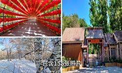 阿勒泰桦林公园驴友相册