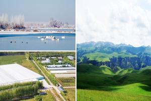 新疆阿克苏伊犁哈萨克伊宁旅游攻略-喀拉亚尕奇乡景点排行榜