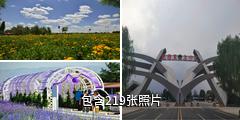 中卫腾格里沙漠湿地·金沙岛旅游区驴友相册