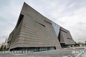 蚌埠市博物館-蚌埠市博物館照片