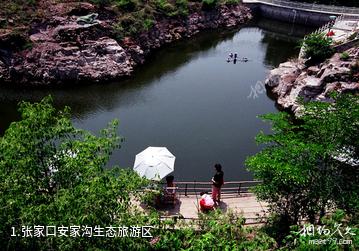 张家口安家沟生态旅游区照片