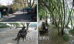 上海鲁迅公园驴友相册
