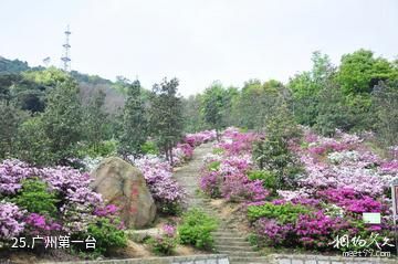 广州从化石门国家森林公园-广州第一台照片