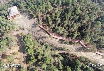 威远古佛顶旅游景区-悬崖栈道照片