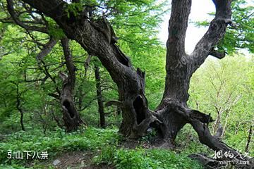 北京白草畔自然风景区-山下八景照片