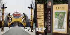 吴桥杂技大世界驴友相册