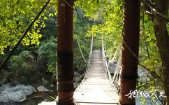 五指山热带雨林旅游攻略之吊桥