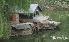 北京动物园旅游攻略之水禽湖