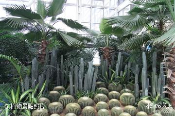 石家莊空中花園-植物照片