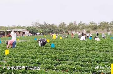 钦州北部湾花卉小镇-水果和农产品采摘区照片