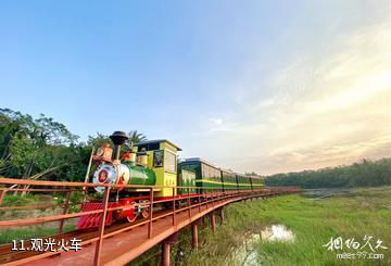 琼海龙寿洋乡村生态旅游区-观光火车照片