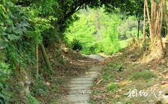 蒲江朝陽湖旅遊攻略之襯腰岩茶馬古道