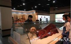 新疆維吾爾自治區博物館旅遊攻略之新疆古代乾屍陳列