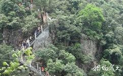 東莞觀音山國家森林公園旅遊攻略之天梯棧道