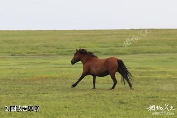 内蒙古图牧吉国家级自然保护区-图牧吉草原照片