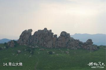 呼和浩特大青山国家级自然保护区-青山大佛照片