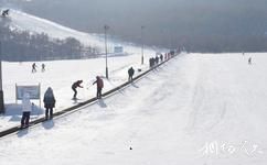 扎兰屯金龙山滑雪场旅游攻略之魔毯