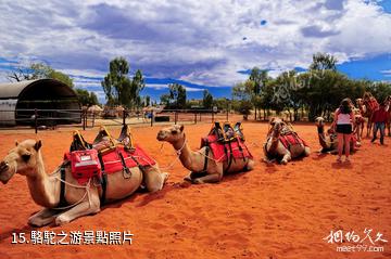 澳大利亞烏魯魯-卡塔丘塔國家公園-駱駝之游照片