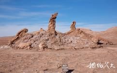 智利阿塔卡馬沙漠旅遊攻略之鹽礦